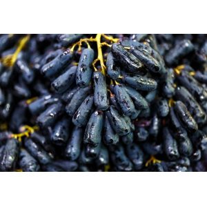 black grapes