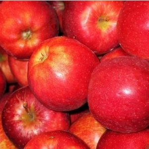 Royal Gala Apple